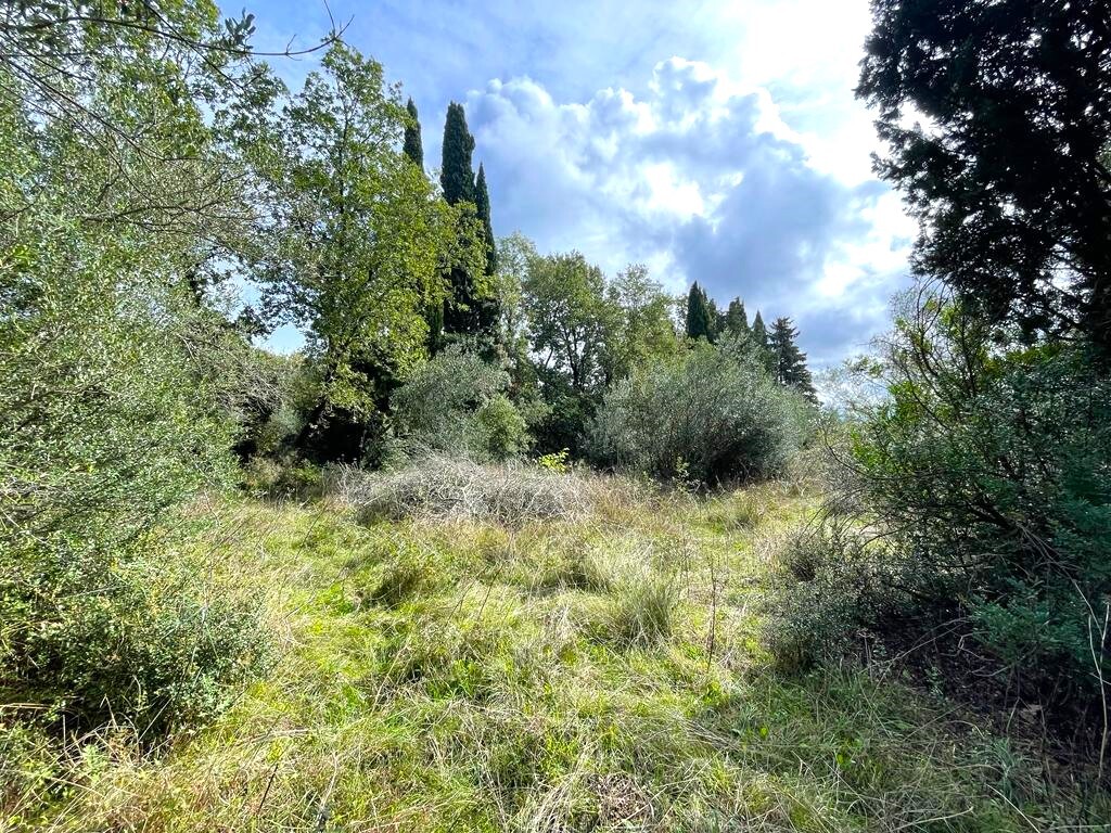 Land in Corfu, Corfu Prefecture, Greece – 57083
