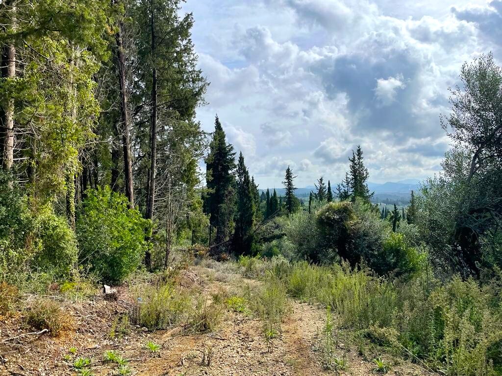 Land in Corfu, Corfu Prefecture, Greece – 57083