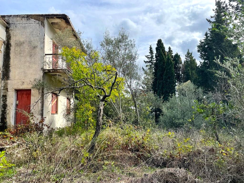 Land in Corfu, Corfu Prefecture, Greece – 57083