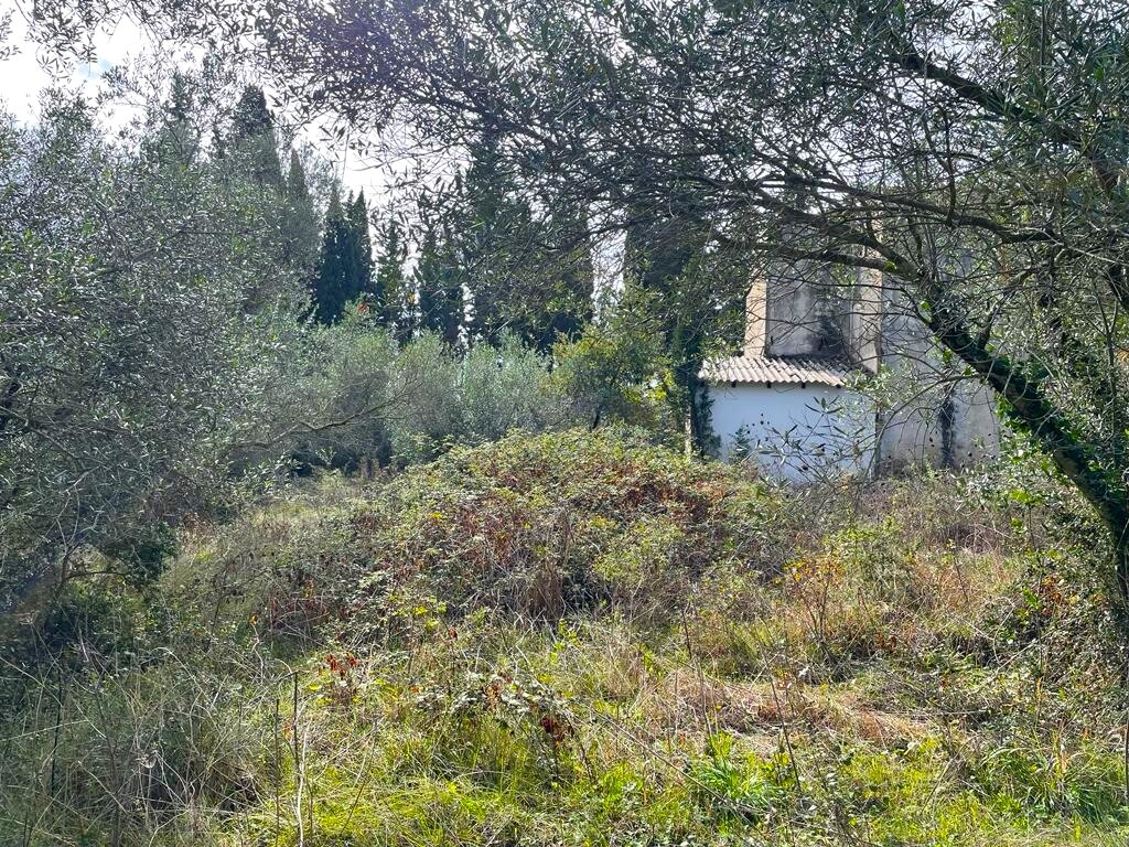 Land in Corfu, Corfu Prefecture, Greece – 57083