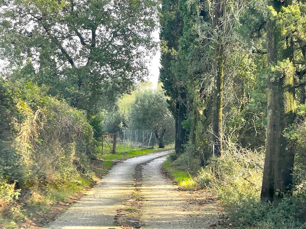 Land in Corfu, Corfu Prefecture, Greece – 57083
