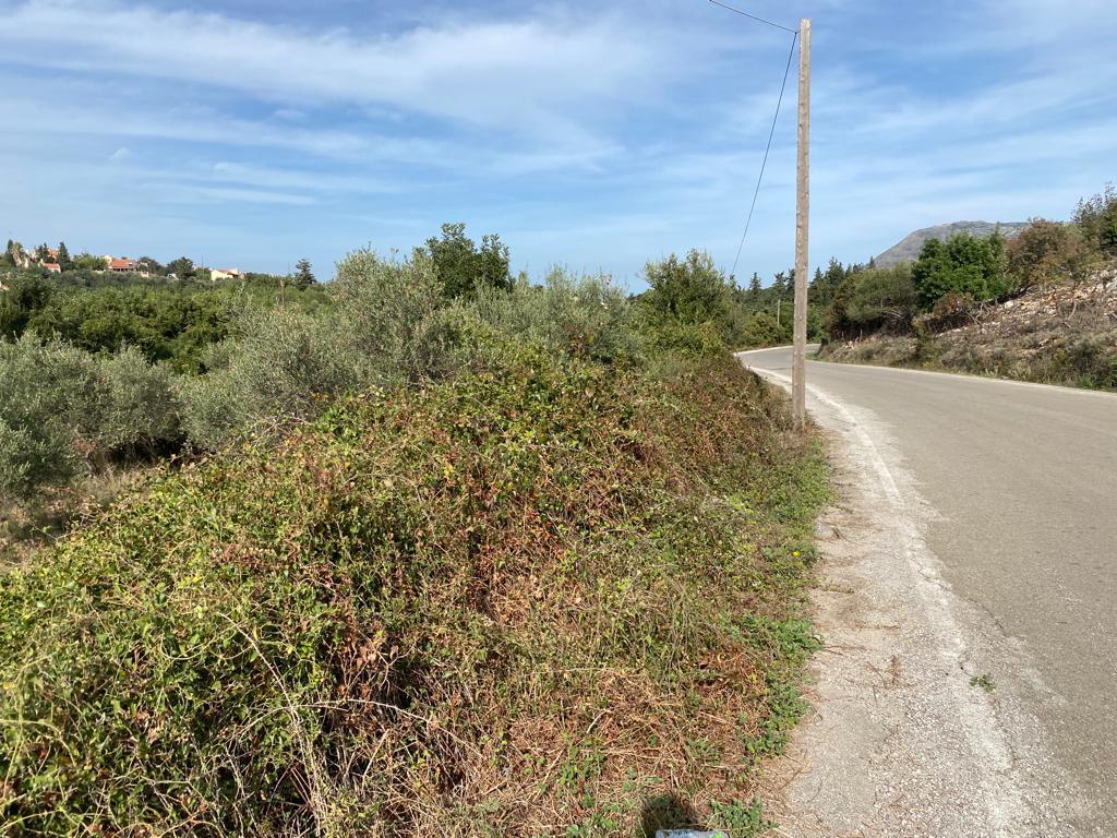 Land in Vamos, Chania Prefecture, Greece – 57077