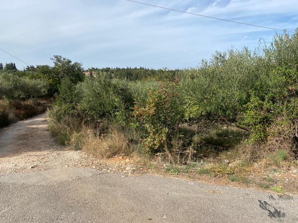 Land in Vamos, Chania Prefecture, Greece – 57077