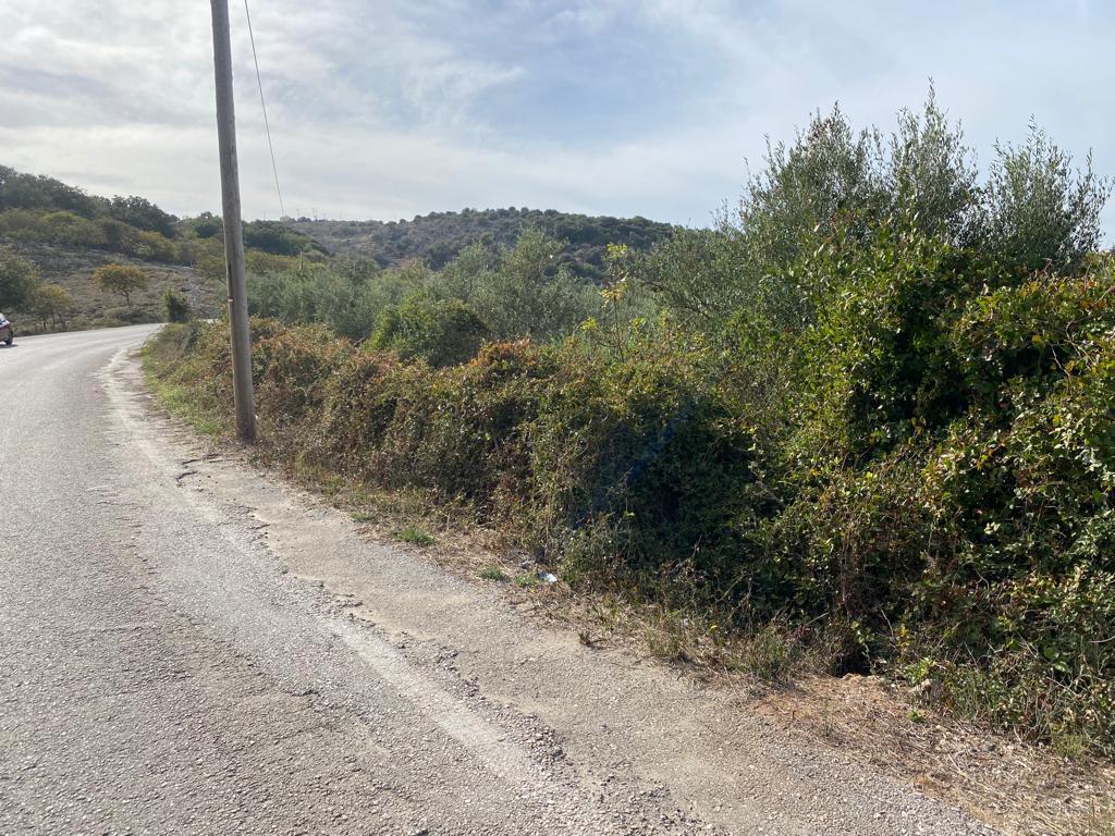Land in Vamos, Chania Prefecture, Greece – 57077