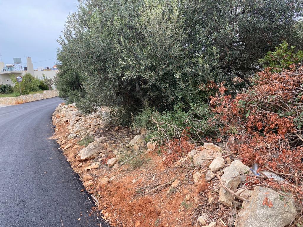 Land in Akrotiri, Chania Prefecture, Greece – 57076
