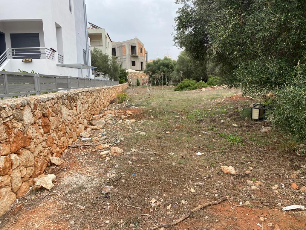 Land in Akrotiri, Chania Prefecture, Greece – 57076
