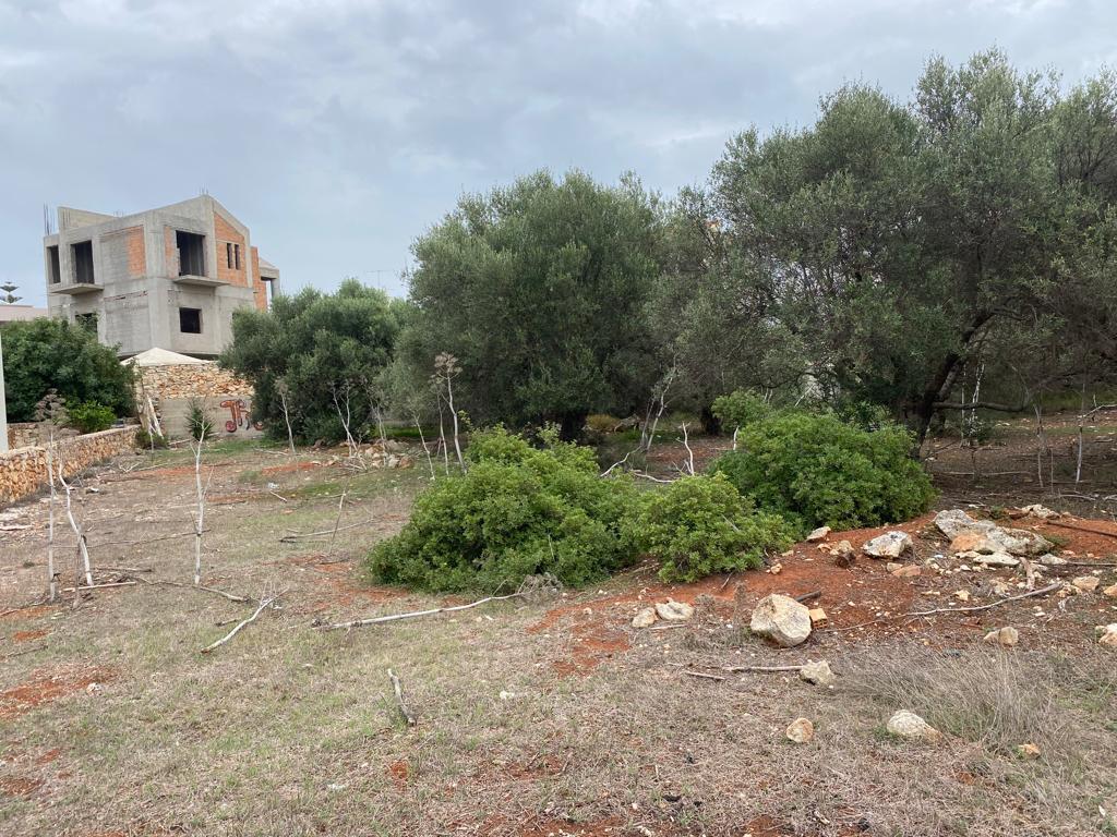 Land in Akrotiri, Chania Prefecture, Greece – 57076