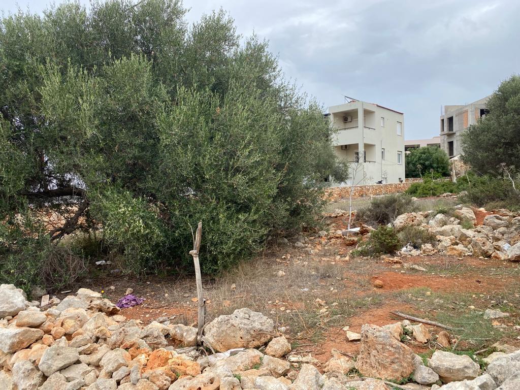Land in Akrotiri, Chania Prefecture, Greece – 57076