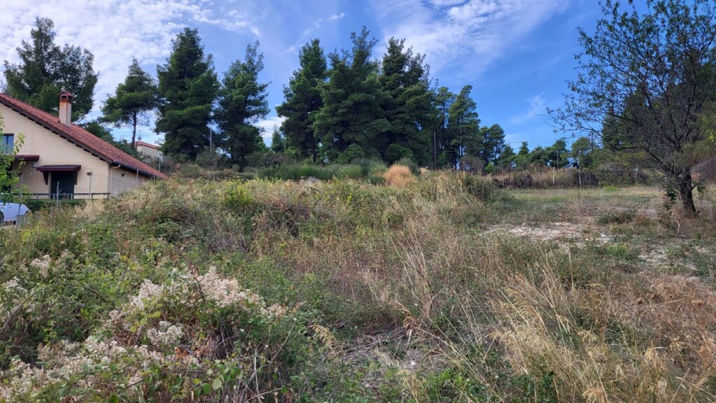 Land in Kassandra, Chalkidiki, Greece – 57013