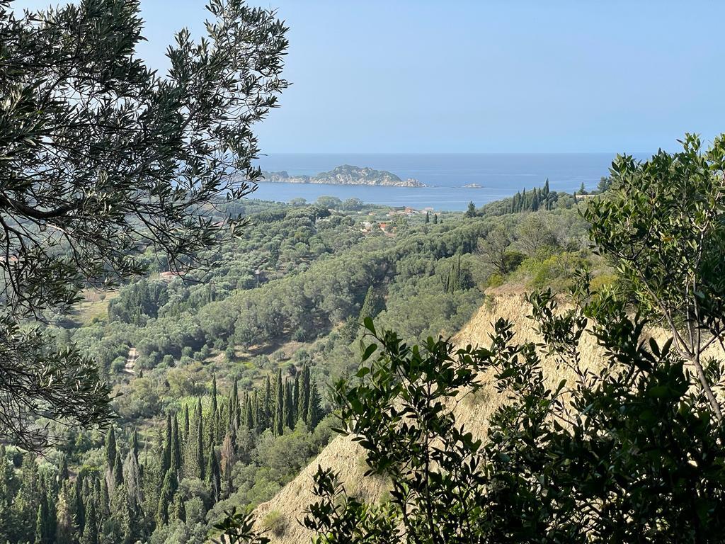 Land in Corfu, Corfu Prefecture, Greece – 56994