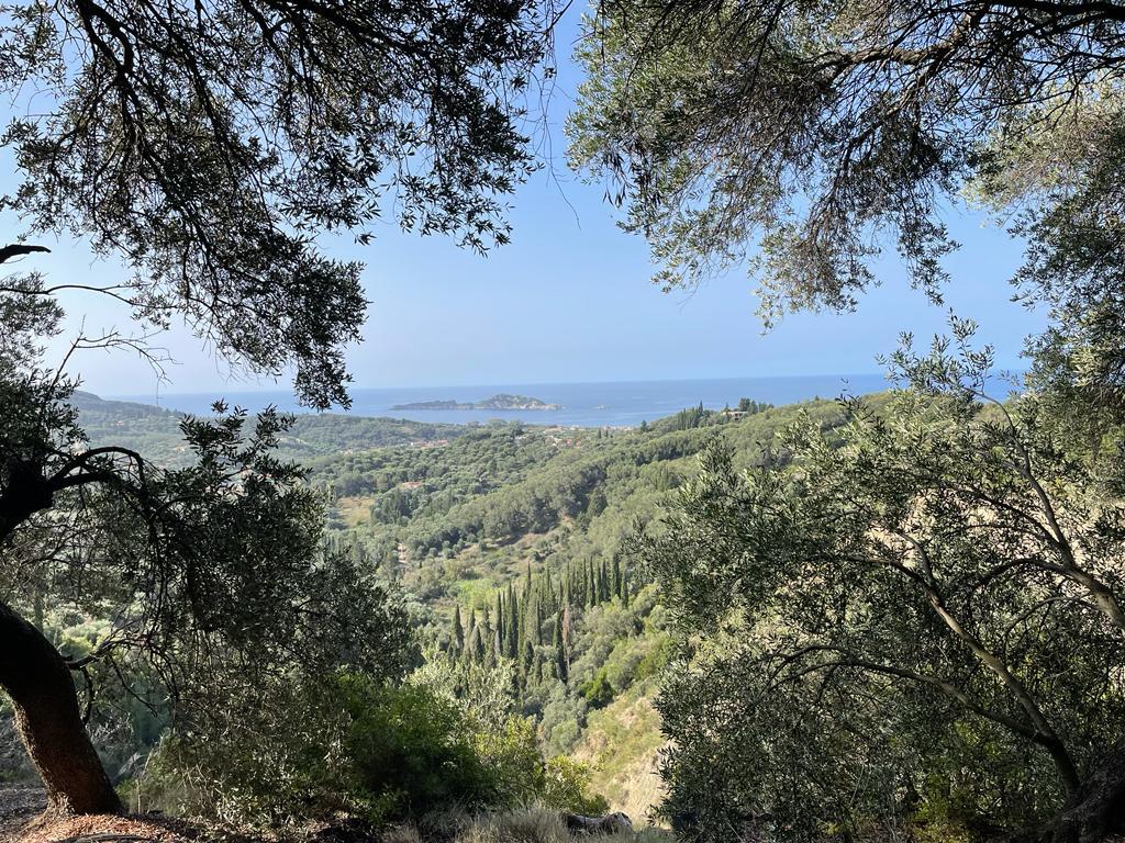Land in Corfu, Corfu Prefecture, Greece – 56994