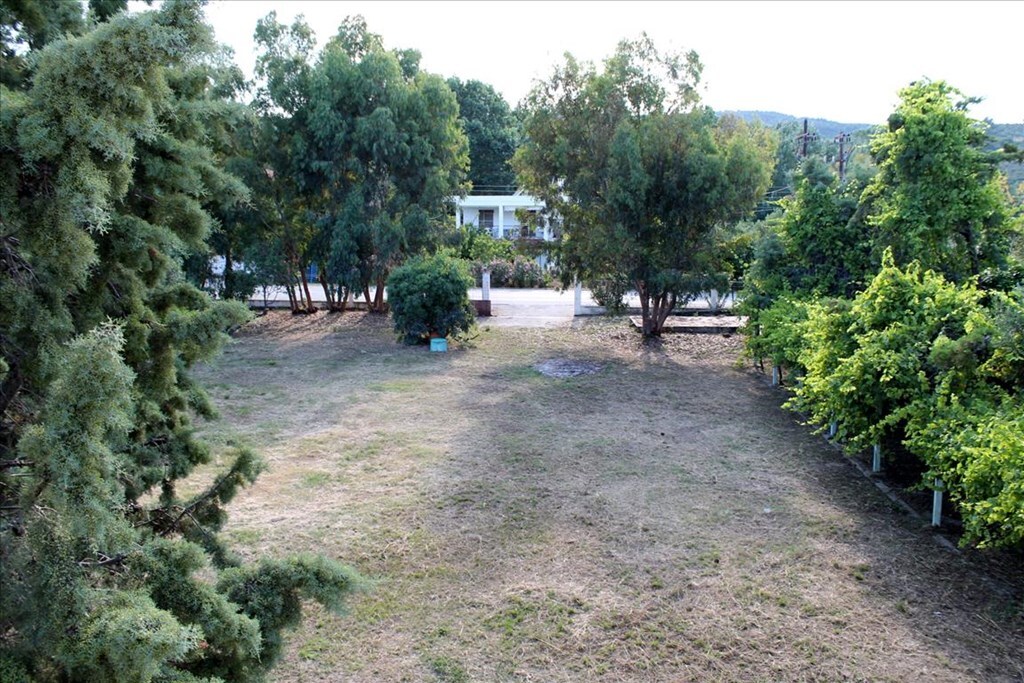 Hotel in Sithonia, Chalkidiki, Greece – 56992