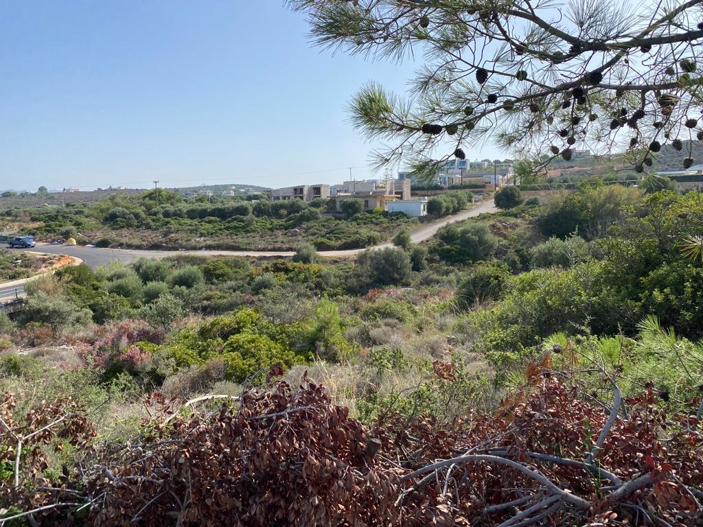 Land in Akrotiri, Chania Prefecture, Greece – 56977