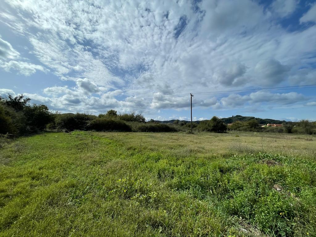 Land in Corfu, Corfu Prefecture, Greece – 56976