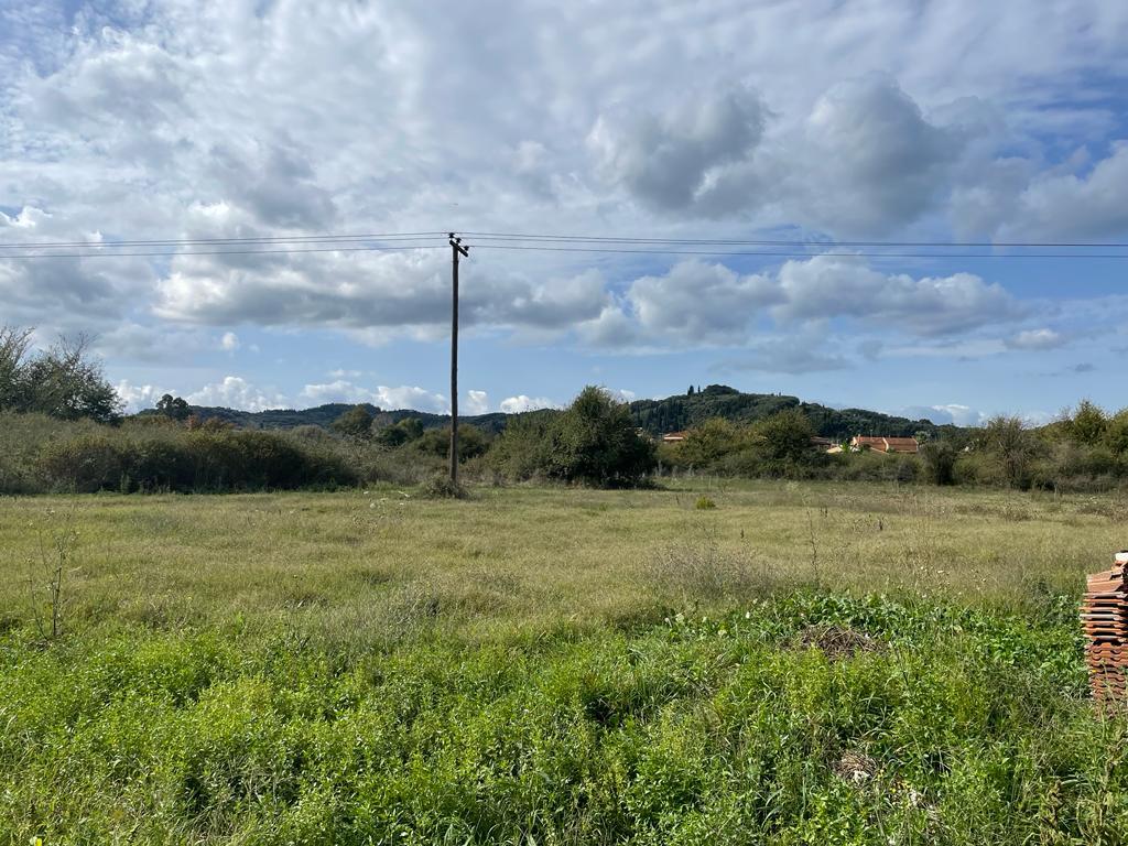 Land in Corfu, Corfu Prefecture, Greece – 56976