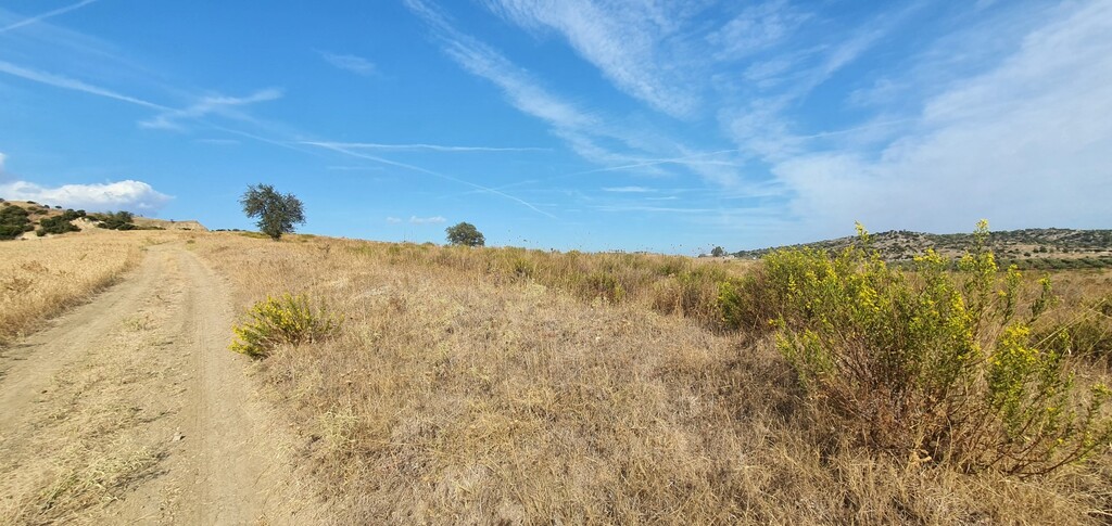 Land in Sithonia, Chalkidiki, Greece – 56930