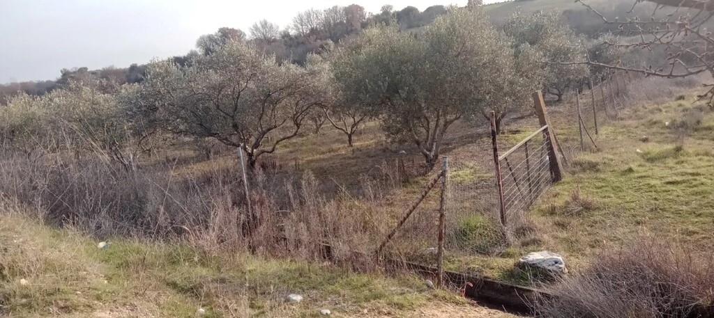 Land in Chrisoupoli, Kavala Prefecture, Greece – 56859