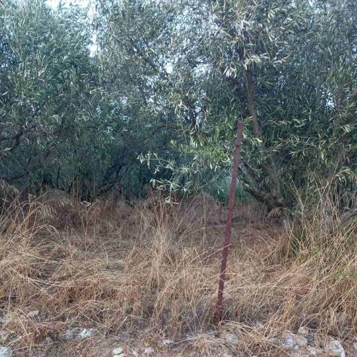 Land in Orfano, Kavala Prefecture, Greece – 56840