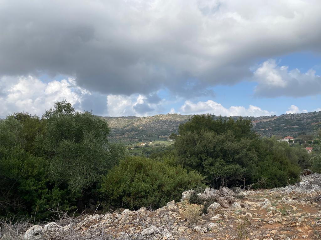 Land in Keramia, Chania Prefecture, Greece – 56833