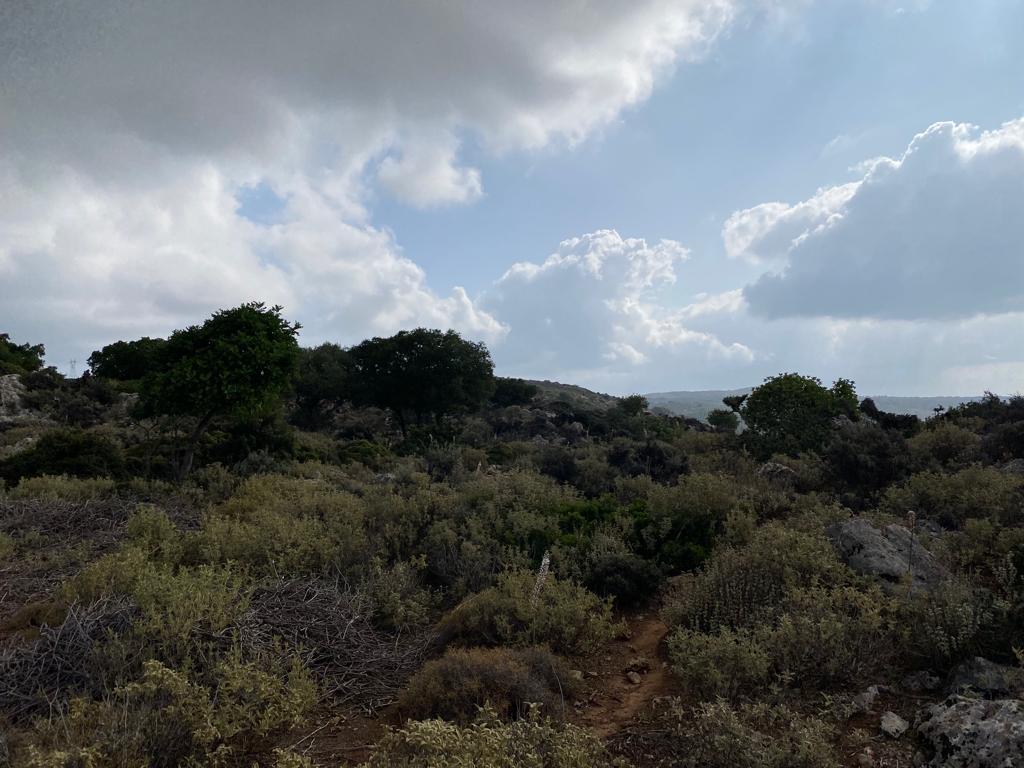 Land in Keramia, Chania Prefecture, Greece – 56832