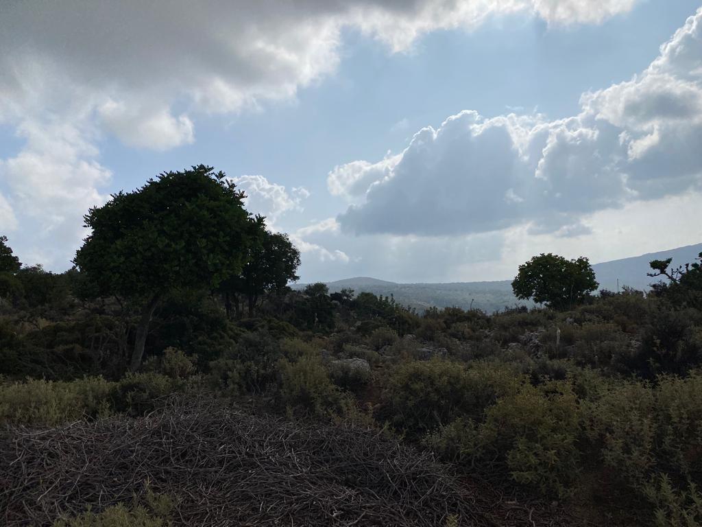 Land in Keramia, Chania Prefecture, Greece – 56832