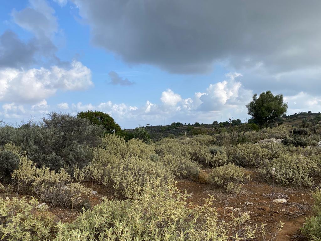 Land in Keramia, Chania Prefecture, Greece – 56832