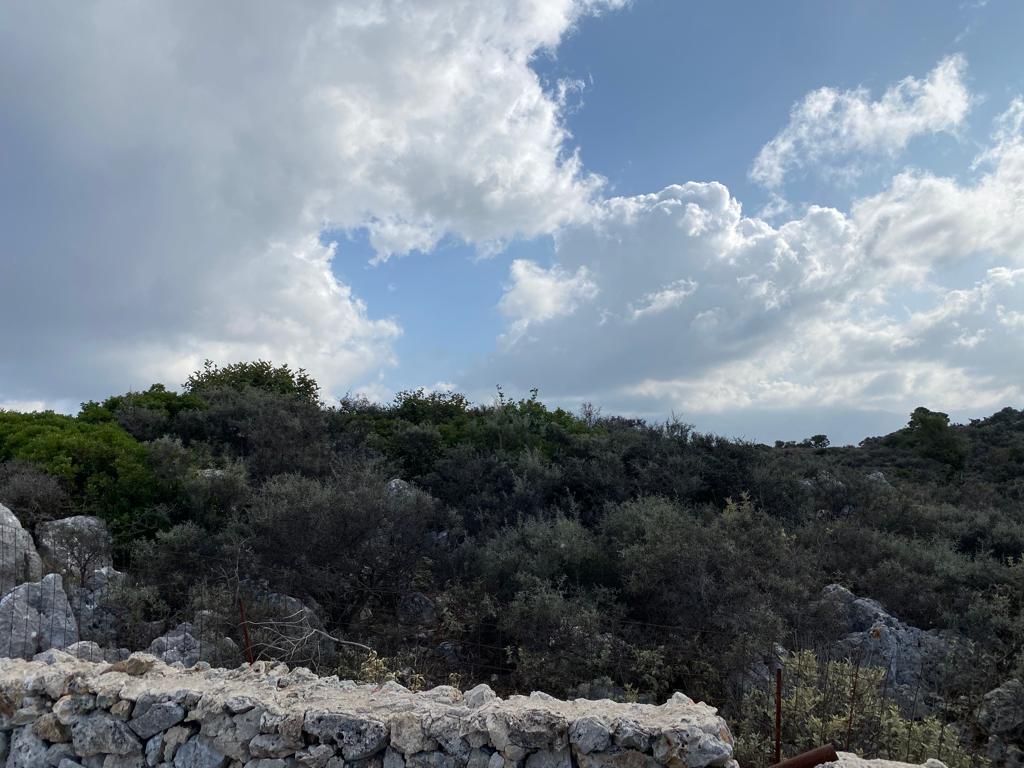 Land in Keramia, Chania Prefecture, Greece – 56828