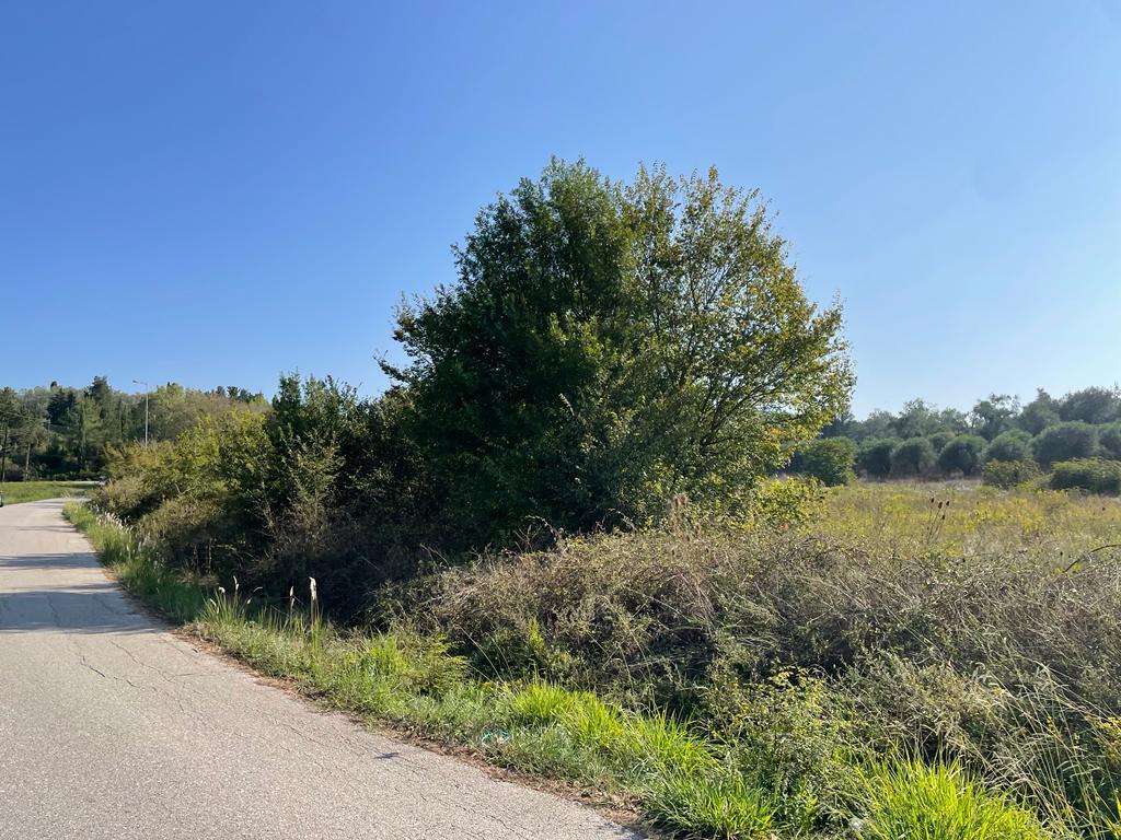 Land in Corfu, Corfu Prefecture, Greece – 56820