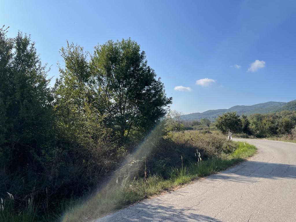 Land in Corfu, Corfu Prefecture, Greece – 56820