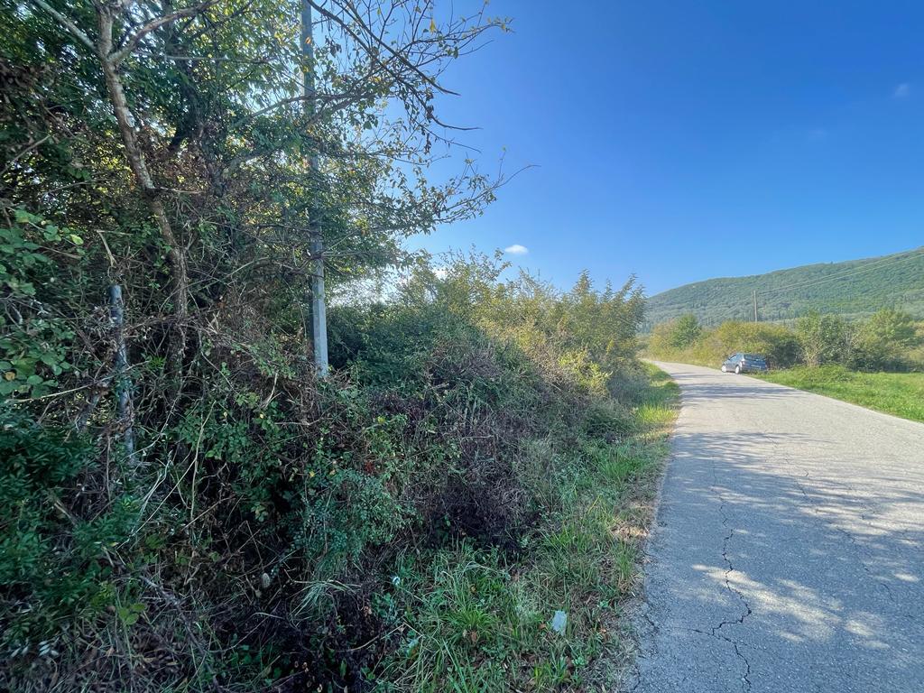 Land in Corfu, Corfu Prefecture, Greece – 56820