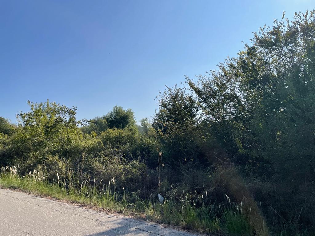 Land in Corfu, Corfu Prefecture, Greece – 56820