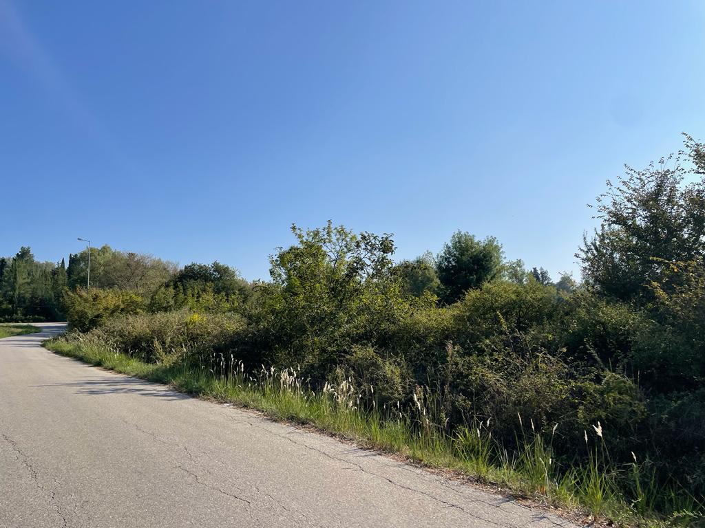 Land in Corfu, Corfu Prefecture, Greece – 56820
