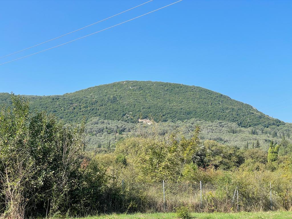 Land in Corfu, Corfu Prefecture, Greece – 56820