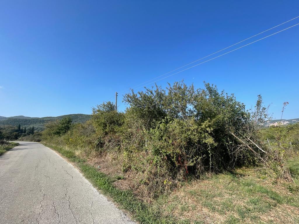 Land in Corfu, Corfu Prefecture, Greece – 56819