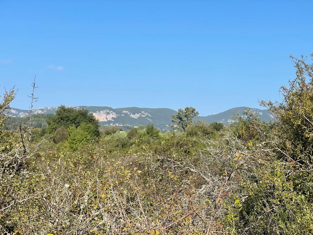 Land in Corfu, Corfu Prefecture, Greece – 56819