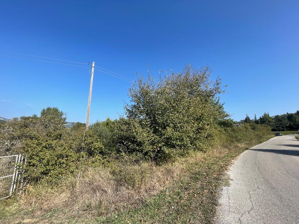 Land in Corfu, Corfu Prefecture, Greece – 56819
