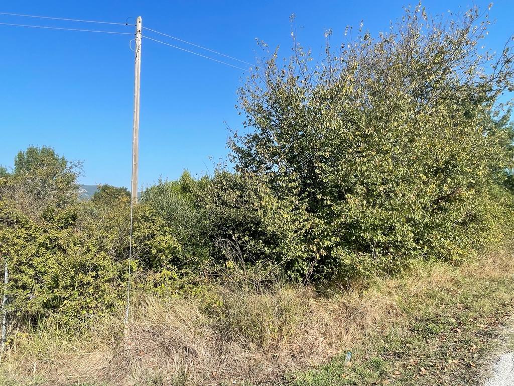 Land in Corfu, Corfu Prefecture, Greece – 56819