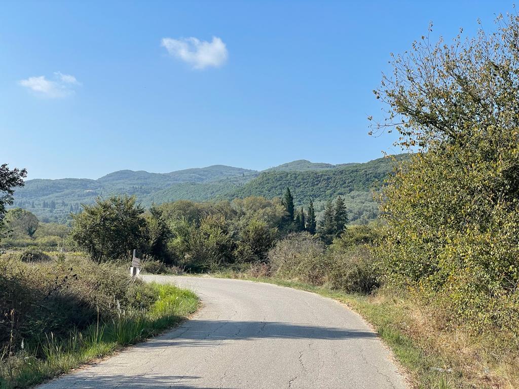 Land in Corfu, Corfu Prefecture, Greece – 56819