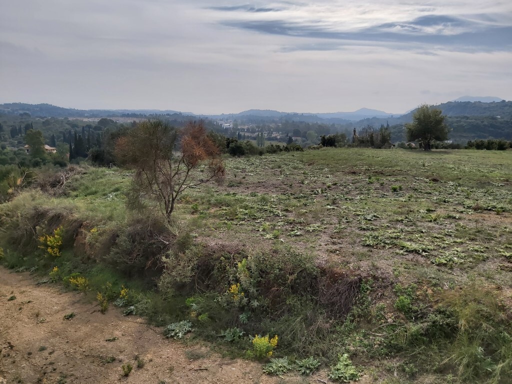 Land in Corfu, Corfu Prefecture, Greece – 56817