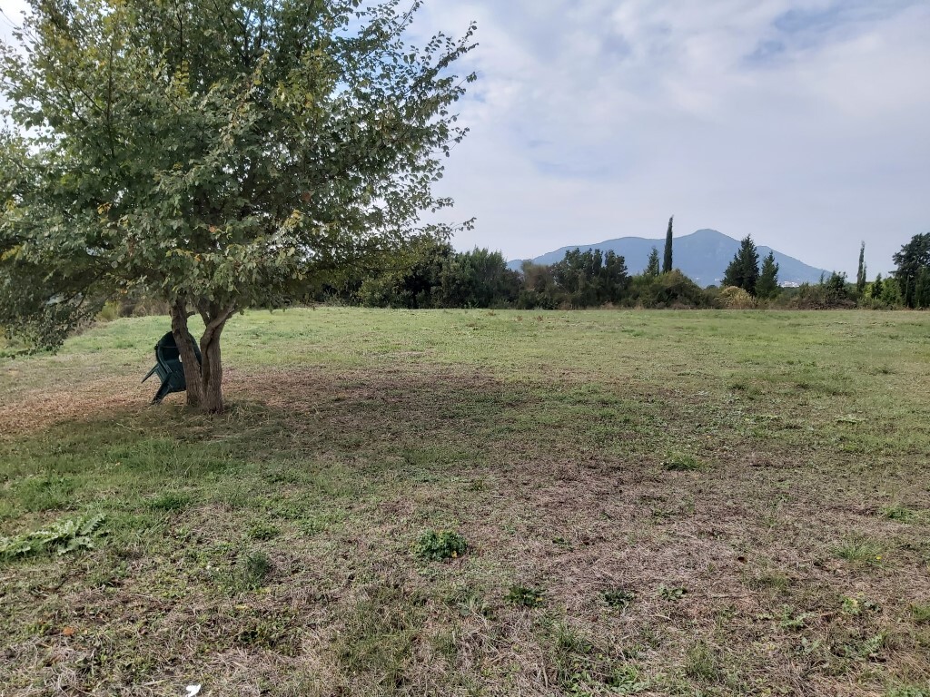 Land in Corfu, Corfu Prefecture, Greece – 56817