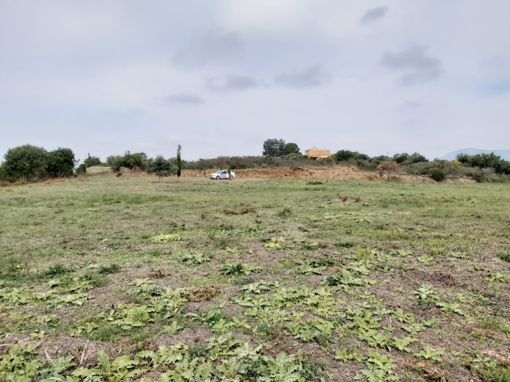 Land in Corfu, Corfu Prefecture, Greece – 56817