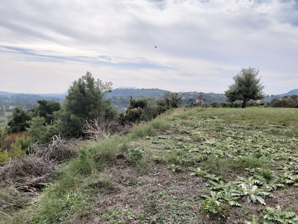 Land in Corfu, Corfu Prefecture, Greece – 56817