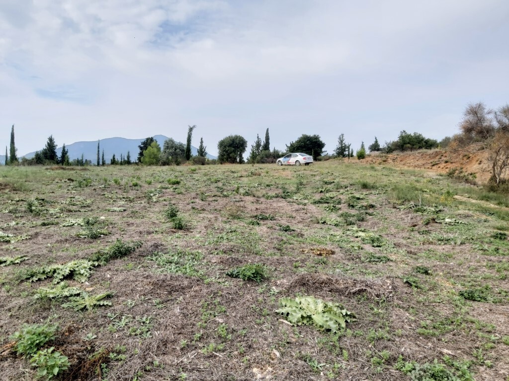 Land in Corfu, Corfu Prefecture, Greece – 56817