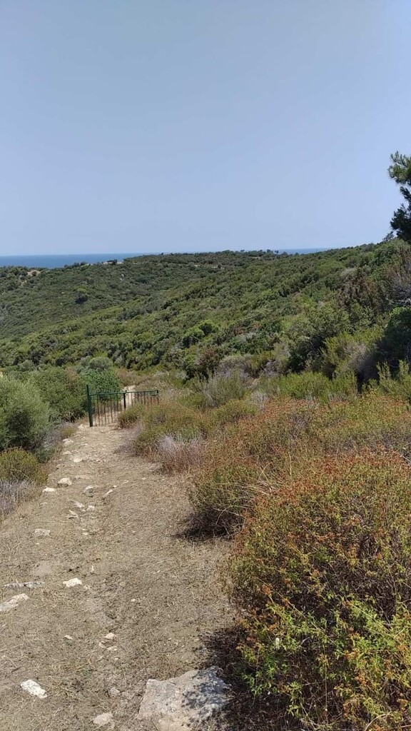 Land in Sithonia, Chalkidiki, Greece – 56759