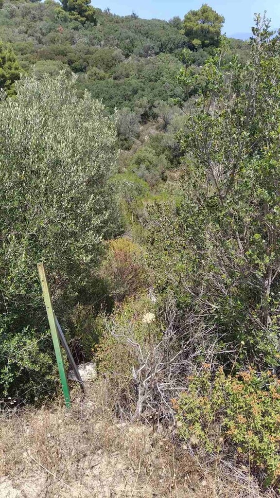 Land in Sithonia, Chalkidiki, Greece – 56759
