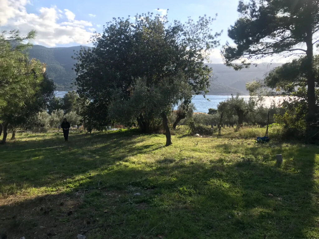 Land in Vilia, Rest Of Attica, Greece – 56755