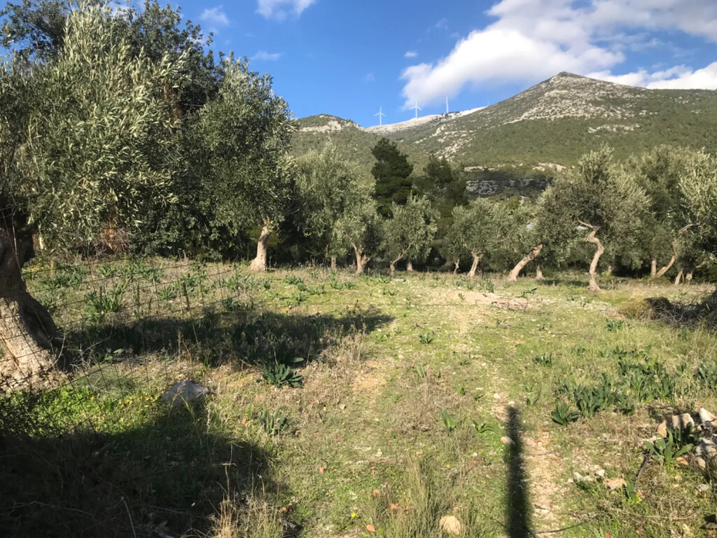 Land in Vilia, Rest Of Attica, Greece – 56755