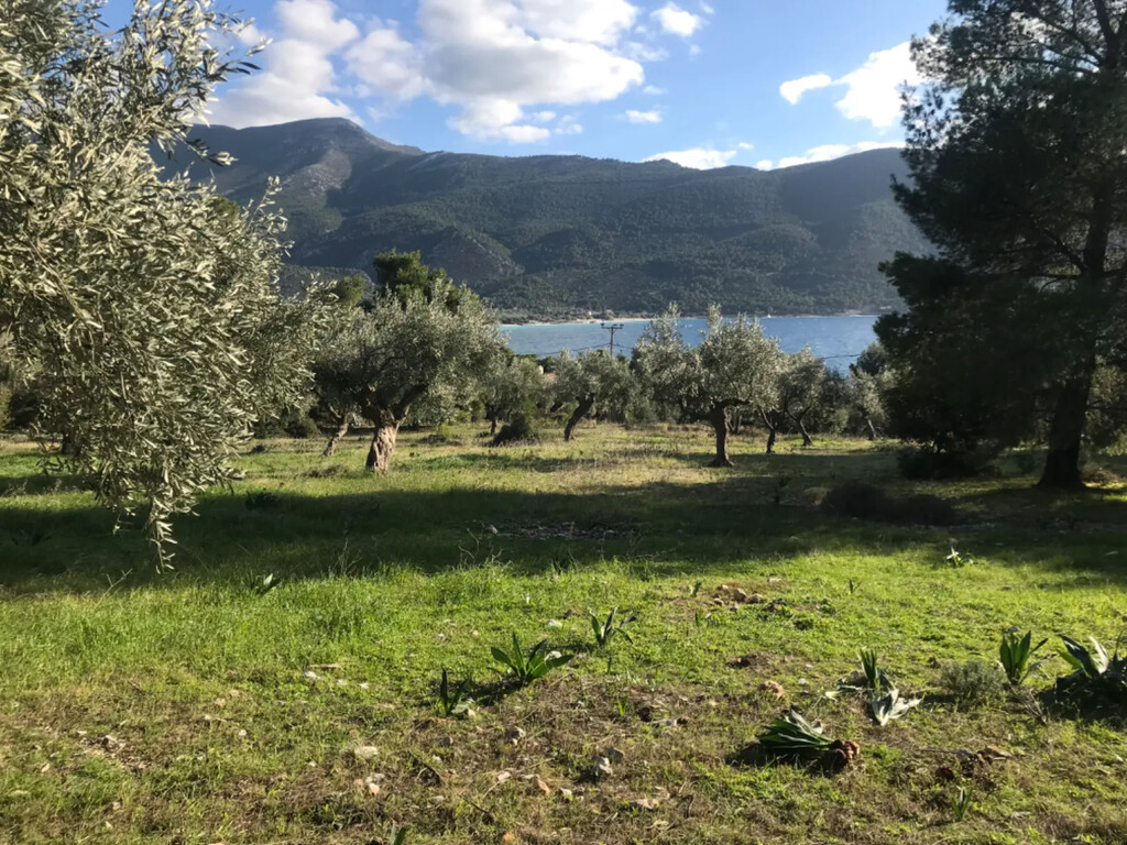 Land in Vilia, Rest Of Attica, Greece – 56755