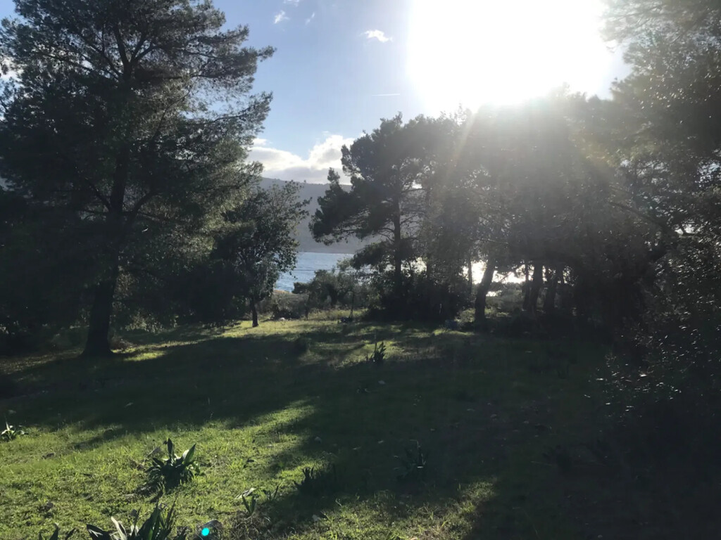 Land in Vilia, Rest Of Attica, Greece – 56755