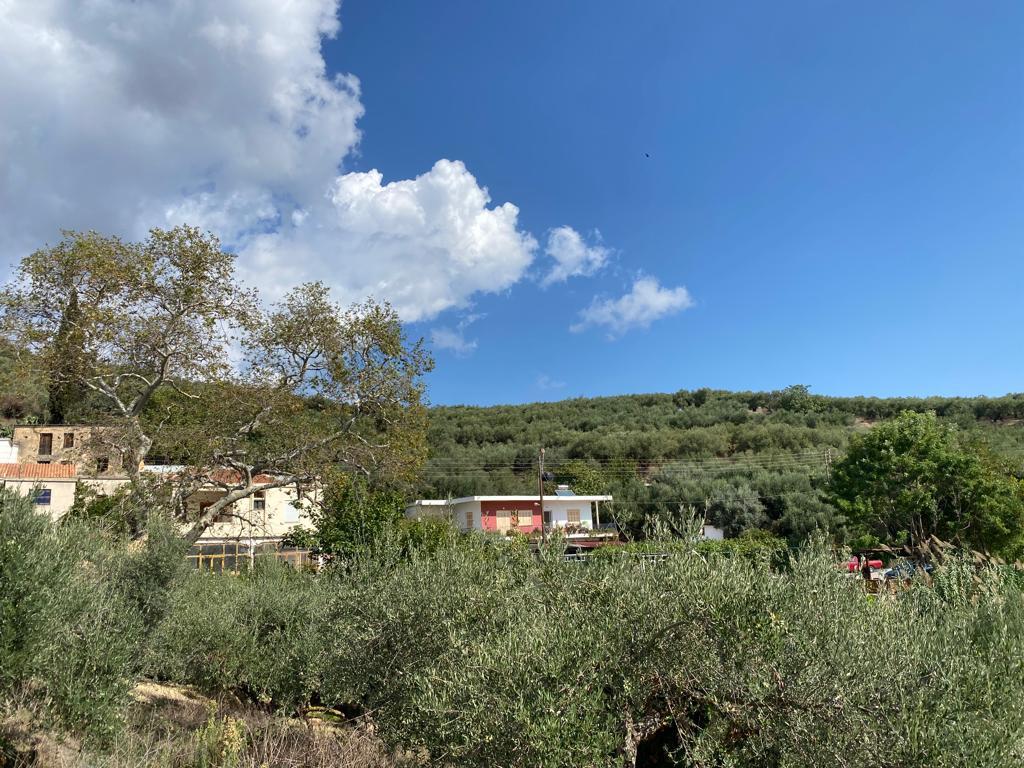Land in Platanias, Chania Prefecture, Greece – 56754